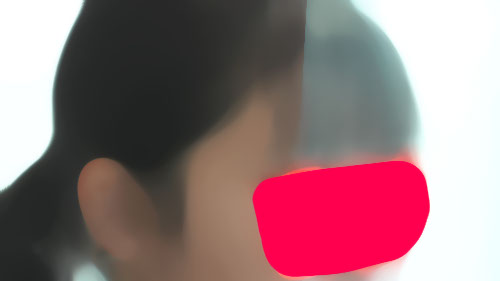 Pcolle机下の華69